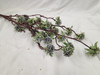 Twig Sedum Stem