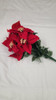 Poinsettia/Holly/Berry Bush