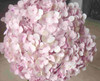 Jumbo Pink Hydrangea Flowers are 5-6 inches. Hydrangeas have small, clover-shaped blooms that form a large focal flower.