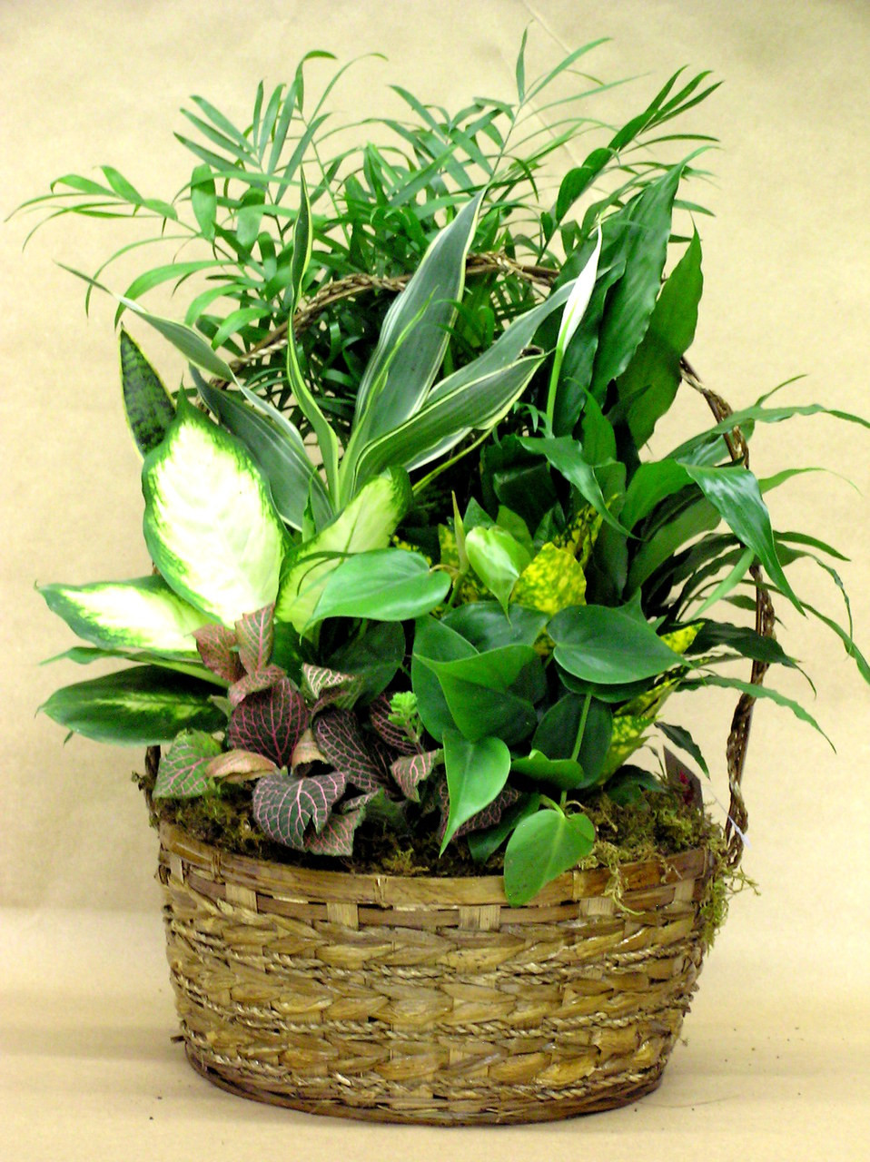 Wicker Dish Garden