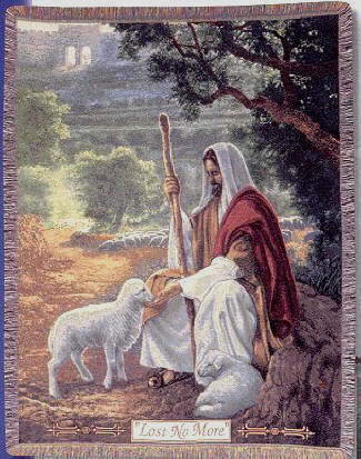 Lost No More Tapestry Throw