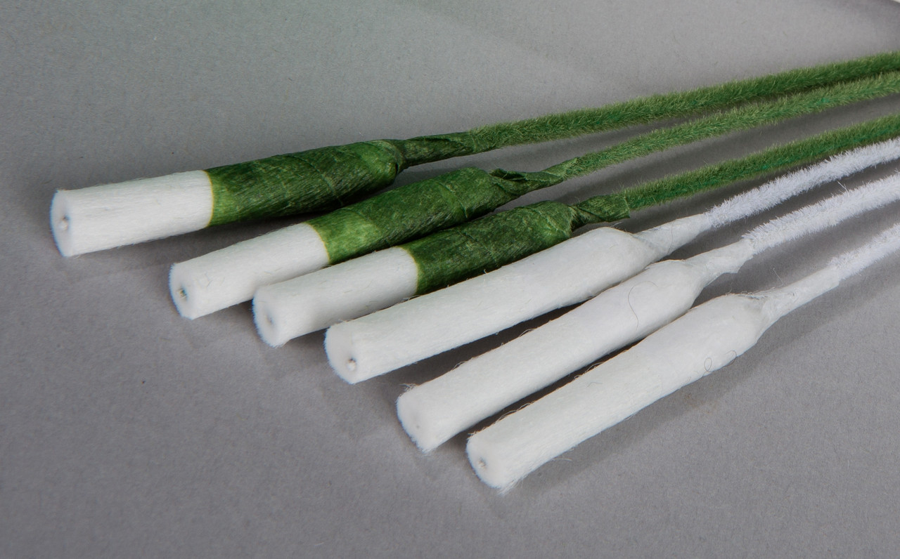 Stephanotis Stems