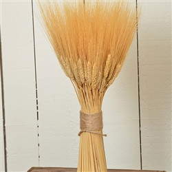 Triticum Wheat Stack