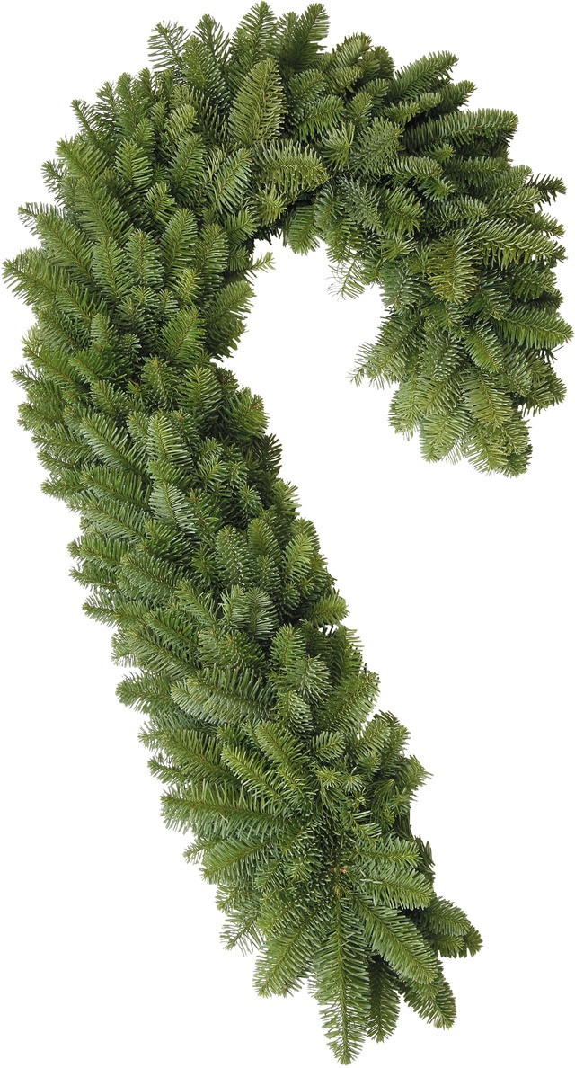 This plush Noble Fir Candy Cane comes full of Holiday spirit and ready to decorate. approximately 26" in length.