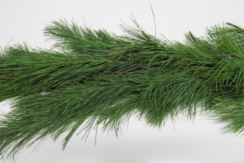 25' white pine garland 