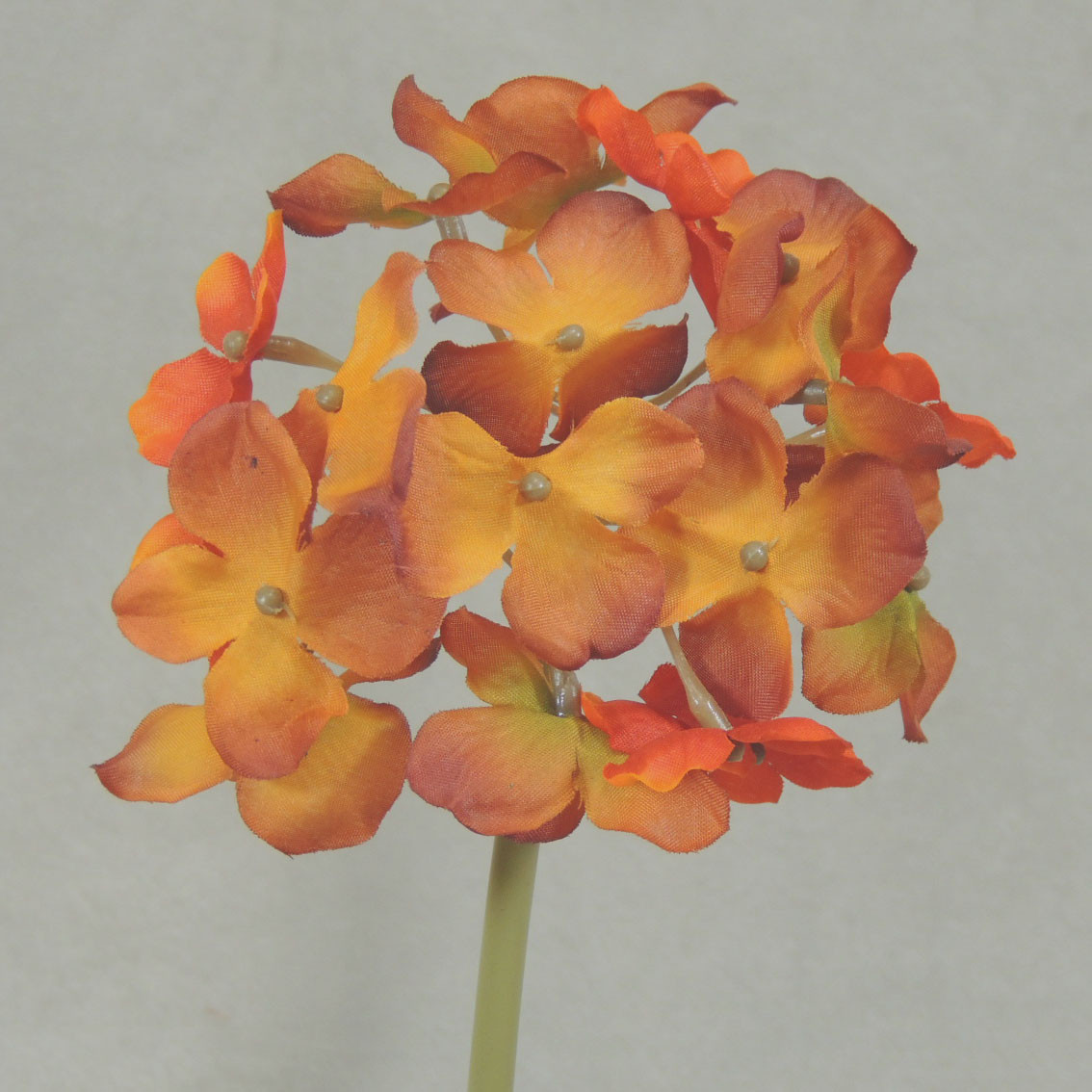 11.5" Hydrangea Stem-RUST