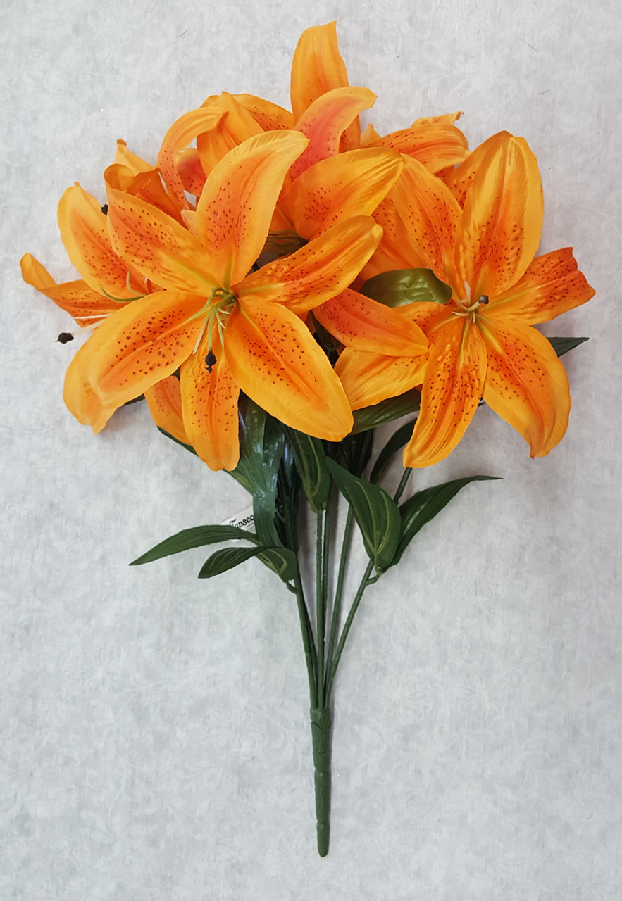 Tiger Lily Bush (x 7)