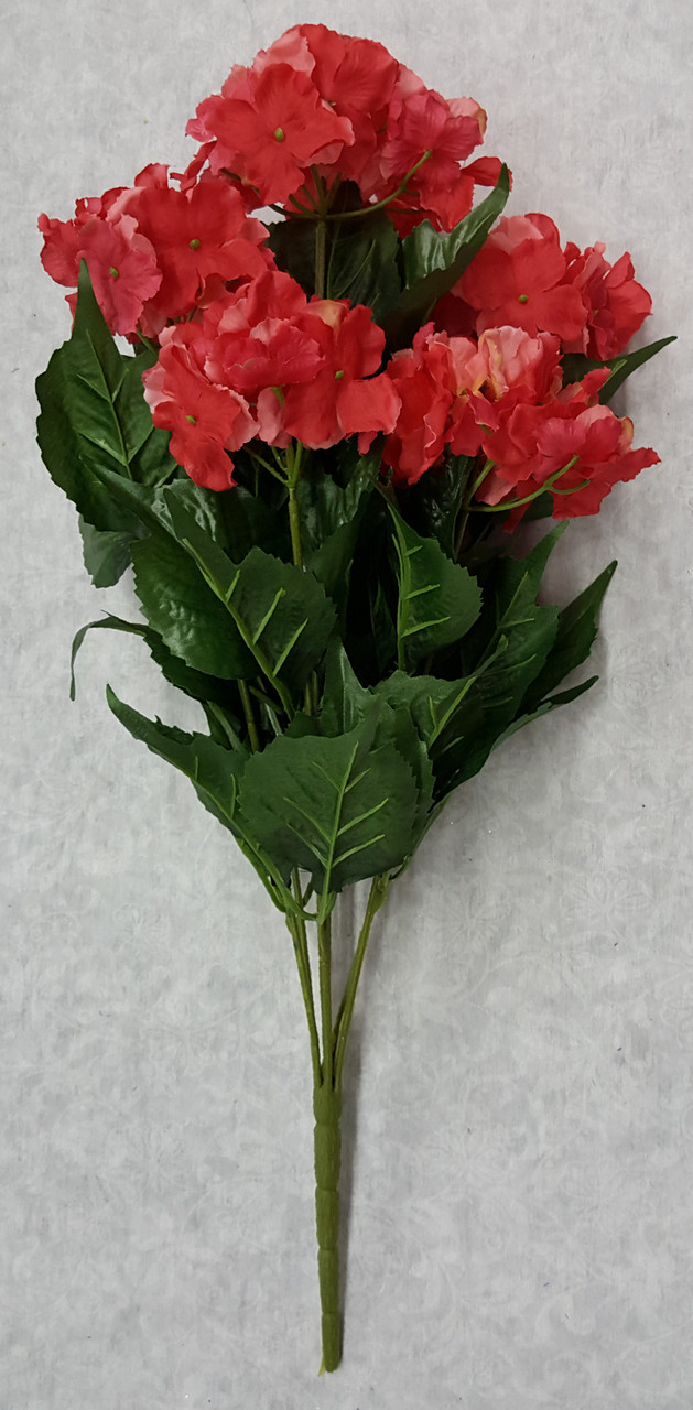 CORAL