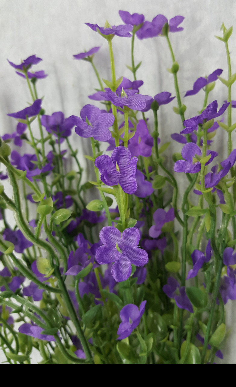 purple