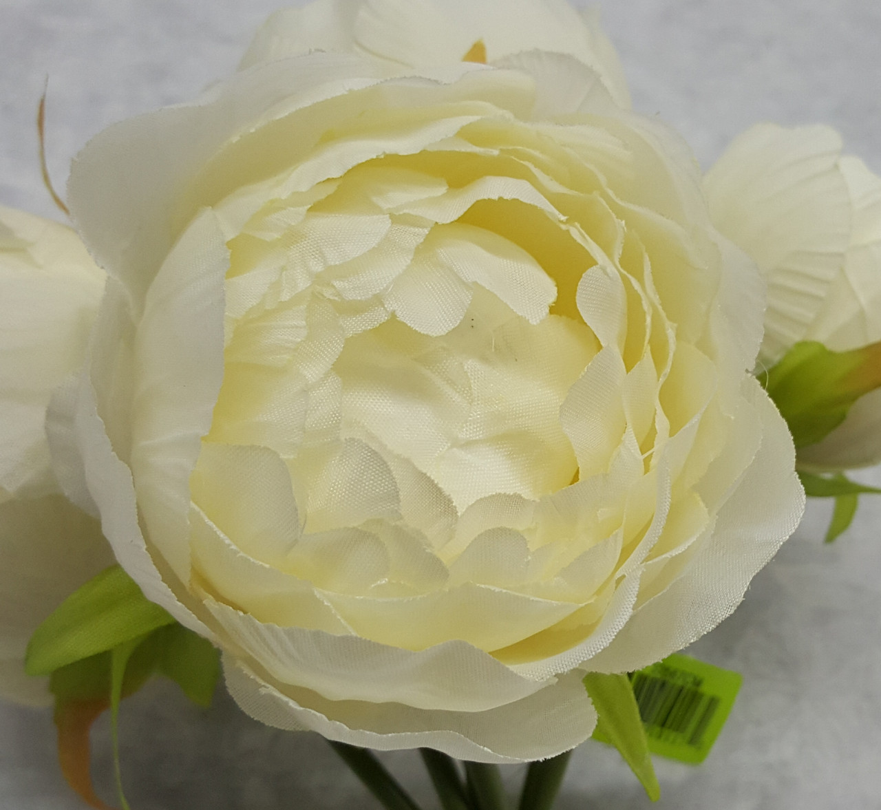 Peony Bouquet (x 7)-Cream