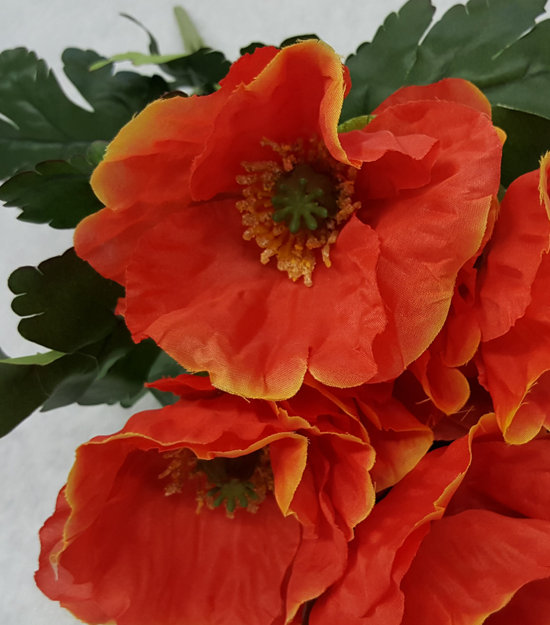 20" Poppy Bush (X 7)