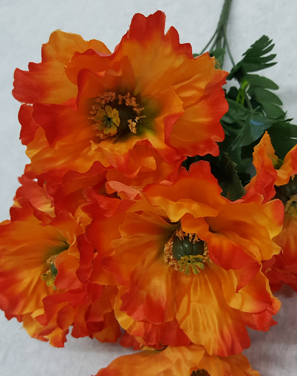 Satin Poppy Bush (X 10)   *MORE  COLORS