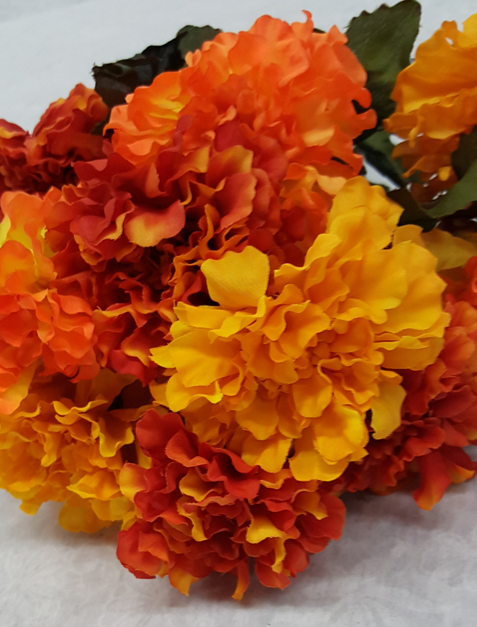 Marigold Bush (X 12)