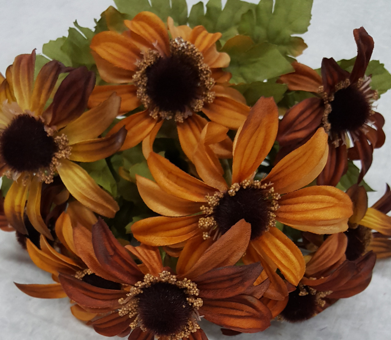 Rudbeckia Bush (x 11)