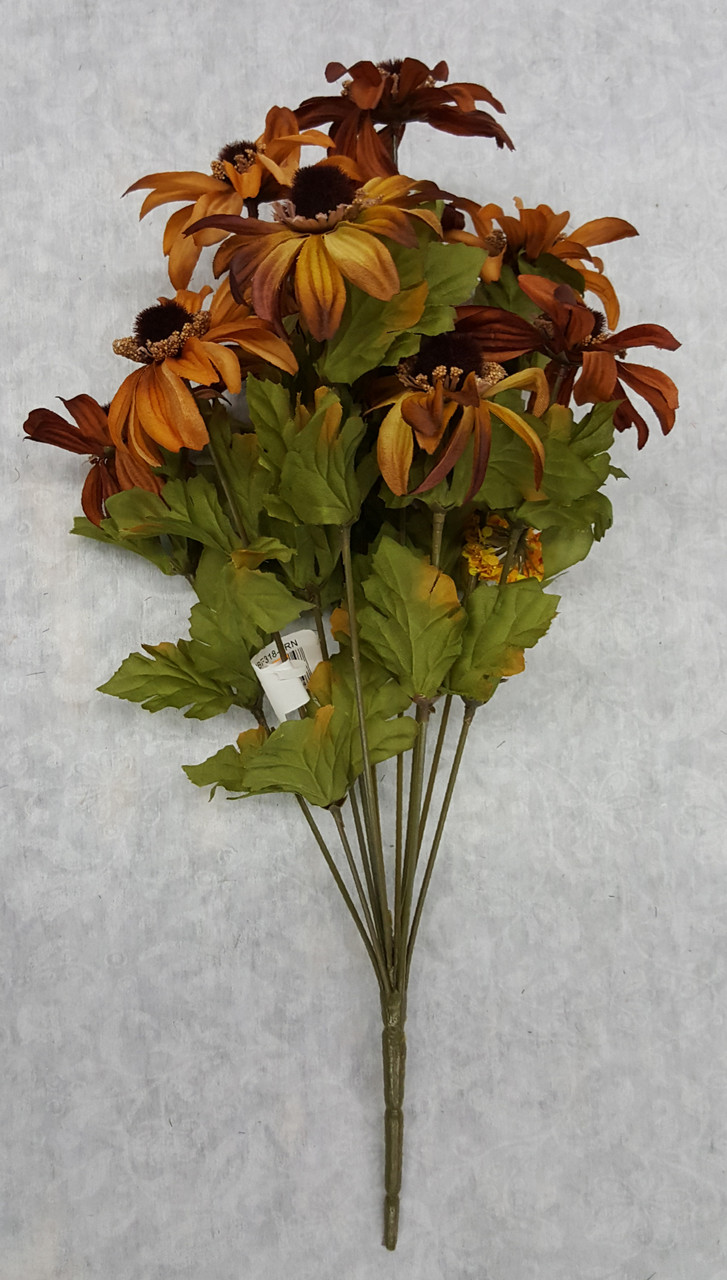Rudbeckia Bush (x 11)
