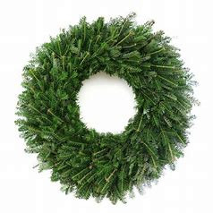 Fraser fir is widely used as in  Christmas wreaths. Its fragrance, shape, strong branches, and ability to retain its soft needles for a long time.
