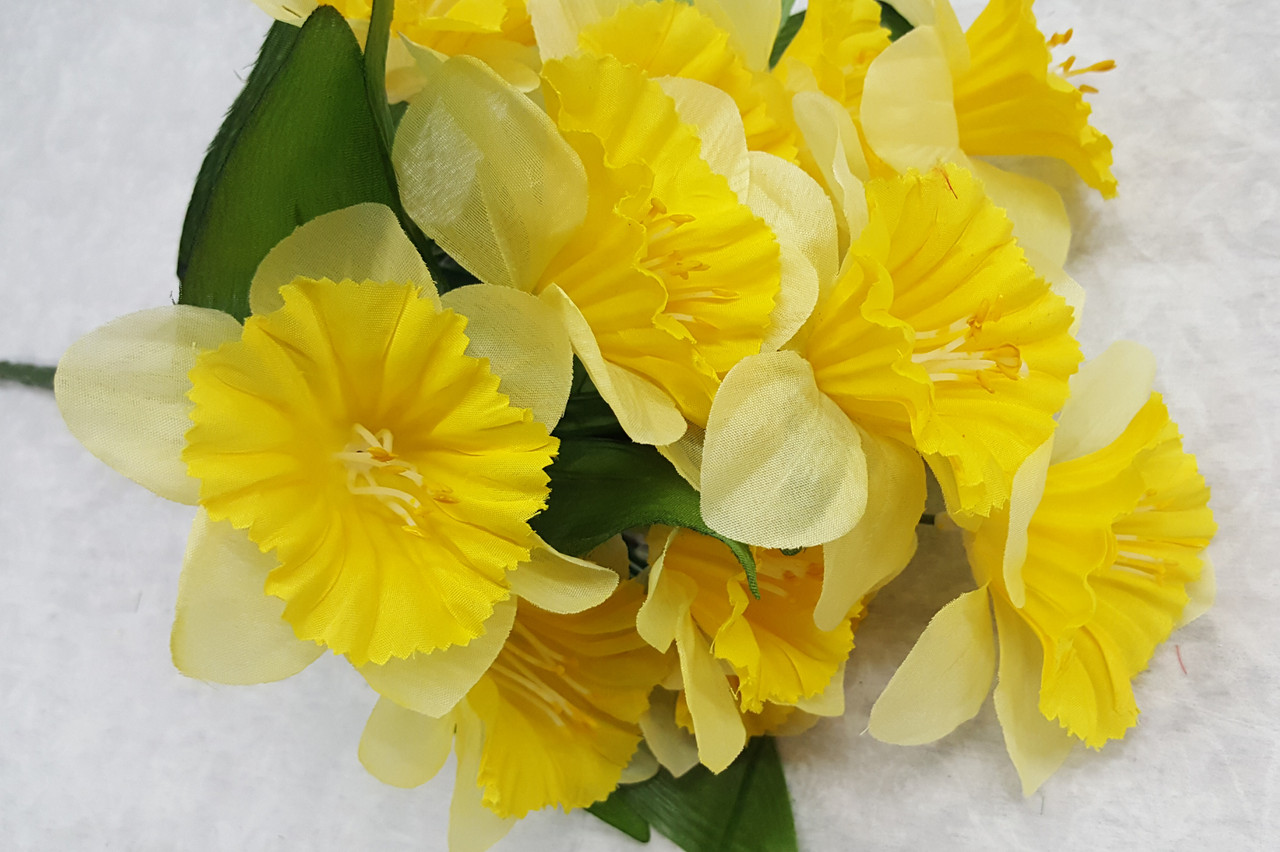 Yellow Daffodil Bush