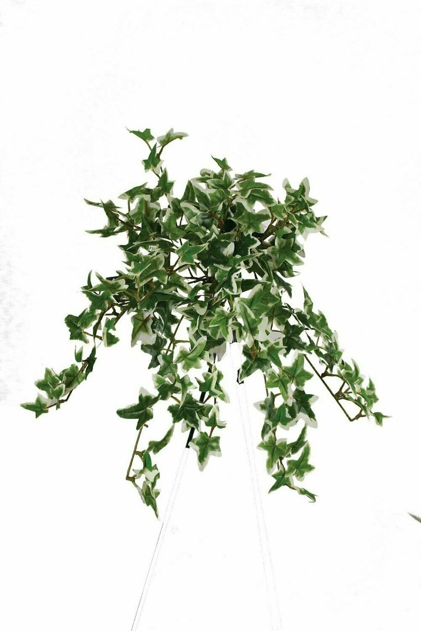 13" Mini Hanging Ivy Bush-Variegated13"