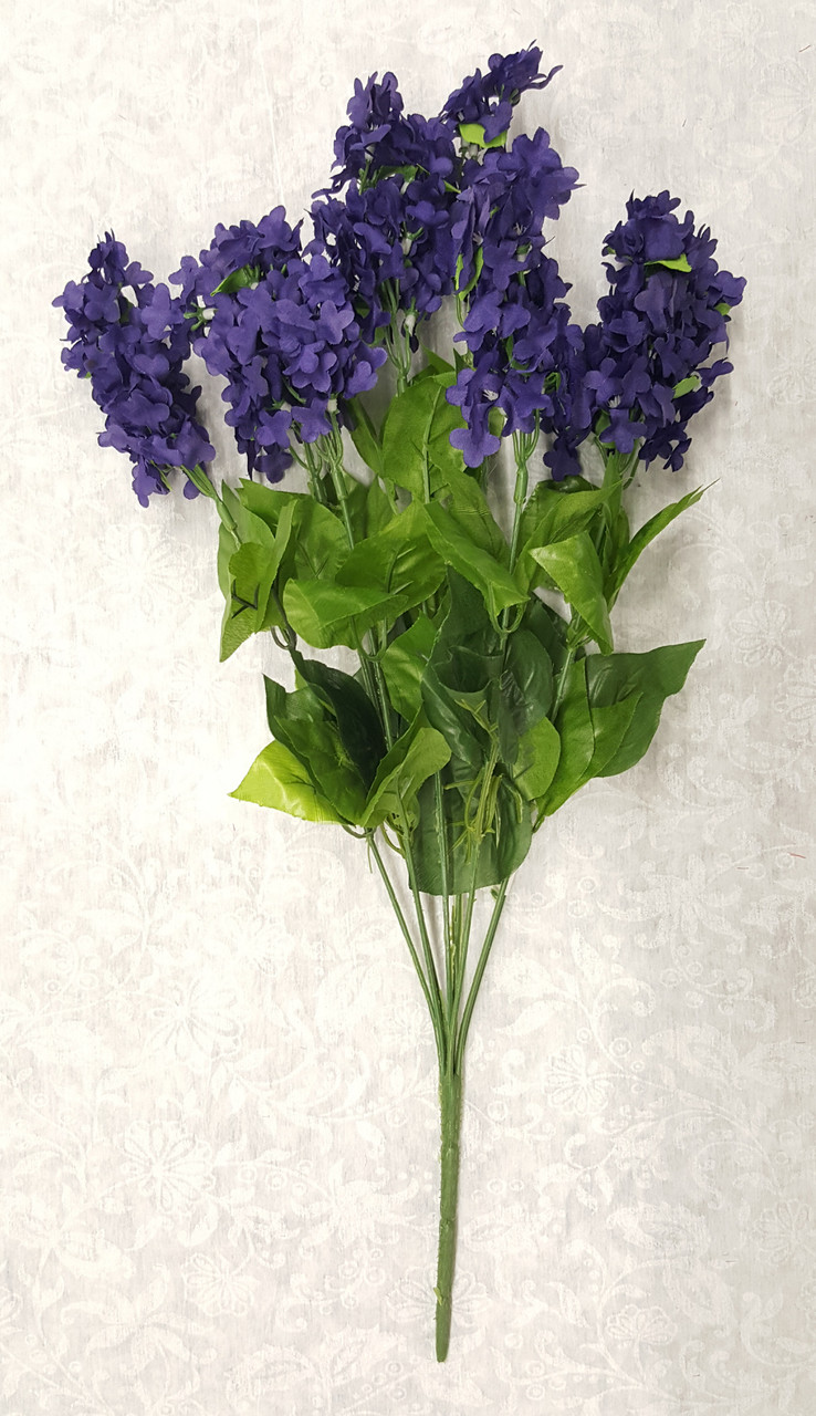 Lilac Bush (x 8)-PURPLE