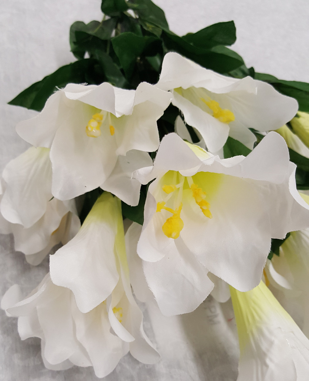 Easter Lily Bush (X 16)