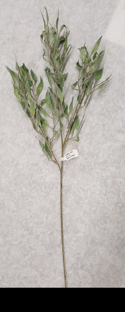 Willow Leaf Spray