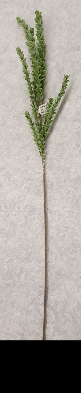 Flocked Desert Boxwood Spray