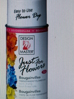 just for flowers spray bougainvillea 