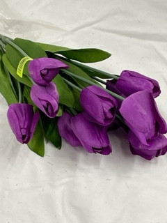 purple tulip bush
