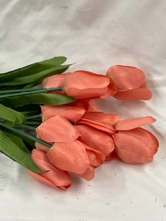 peach tri color tulip bush