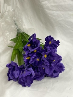 assorted/purple iris bush x 12