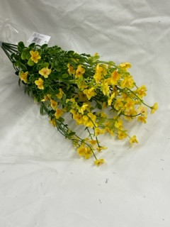 gold forget me not x11