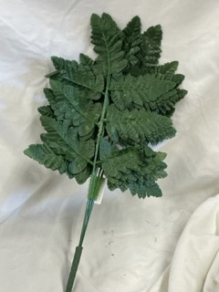 baker ferns x7 (Leather leaf)