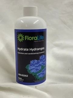 hydrate hydrangea