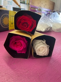 single stem preserved rose's
