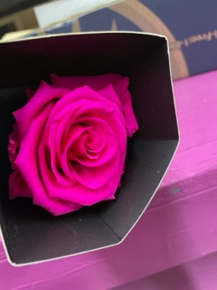 Magenta single stem preserved rose