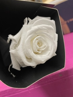 White single stem preserved rose