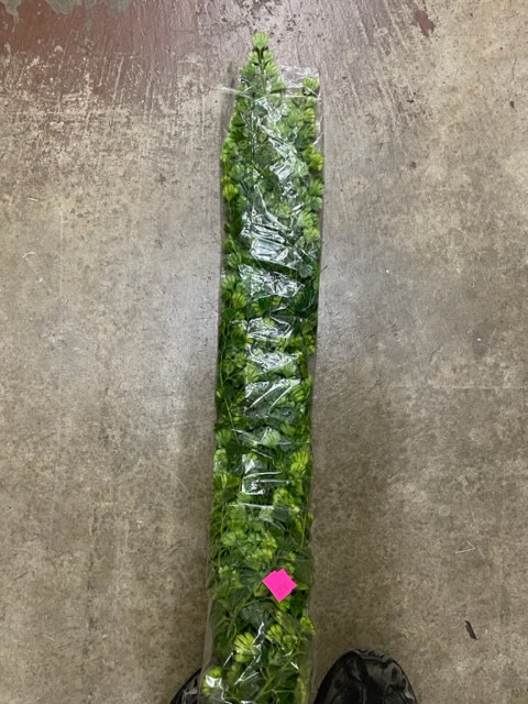 34.5" hanging maiden-hair fern (silk) 