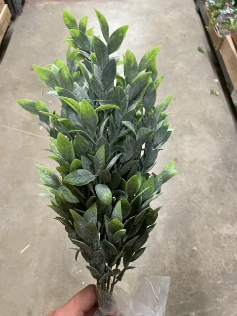 Italian Ruscus (silk) 