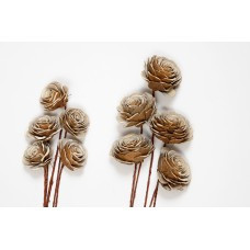 sola rose natural 4"
