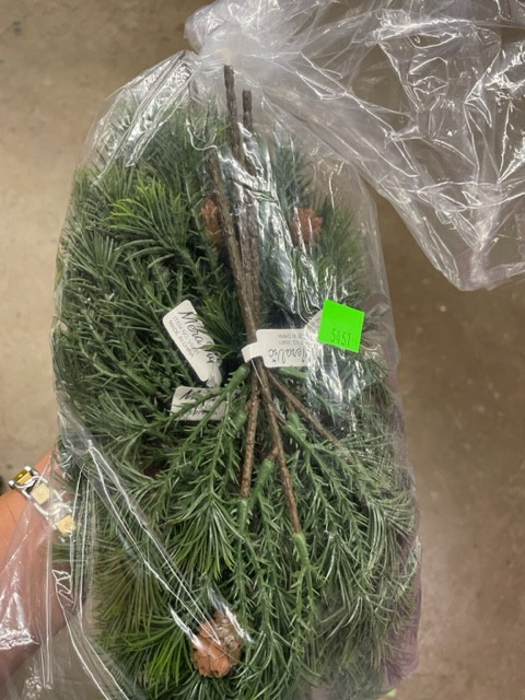 pik cluster pine 8"x12: 6pk. 