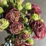 chocolate lisianthus