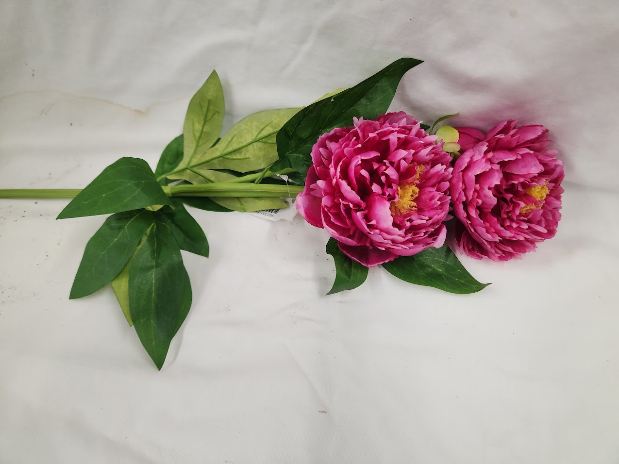 Long Stemmed Silk Peonies