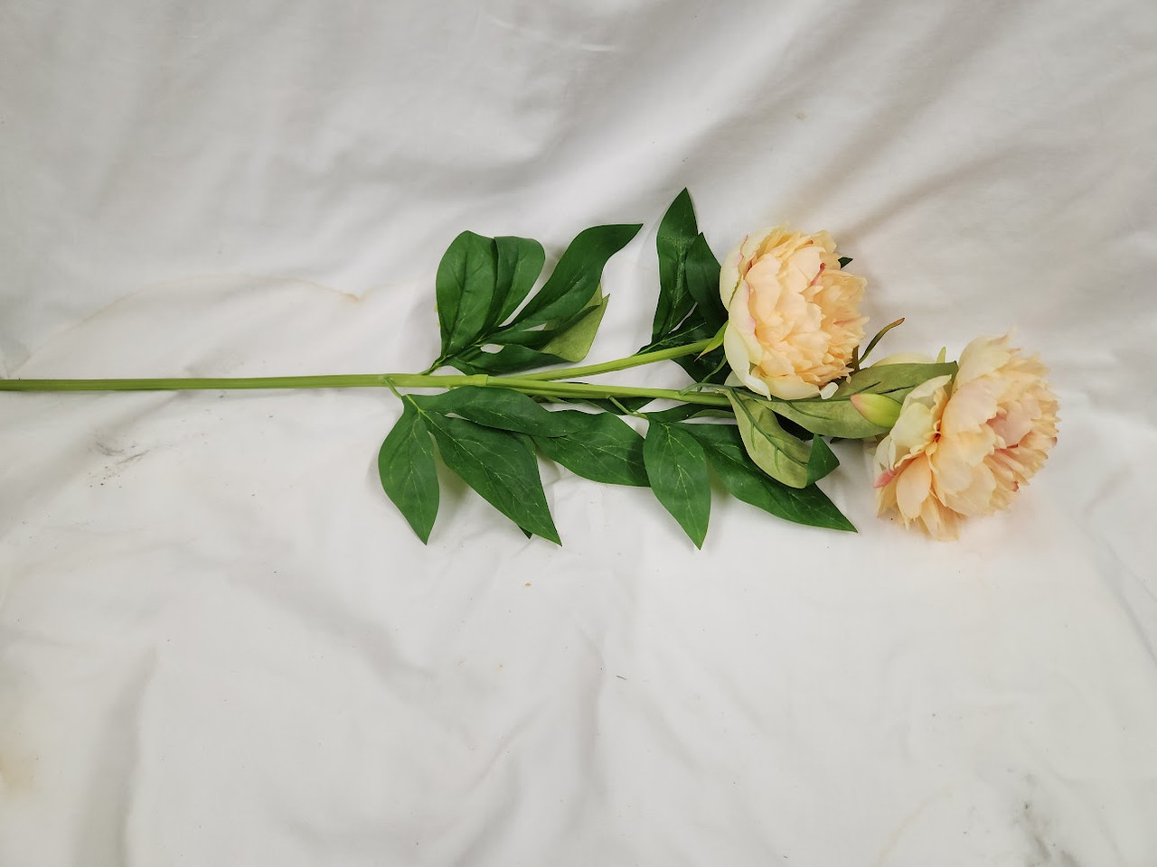Long Stemmed Silk Peonies