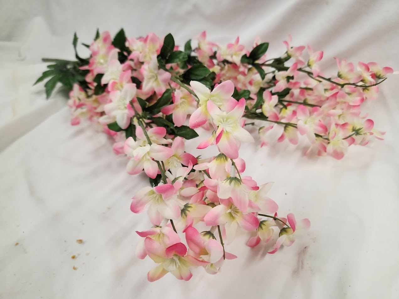 Delphinium Bush x8 - Pink/Cream