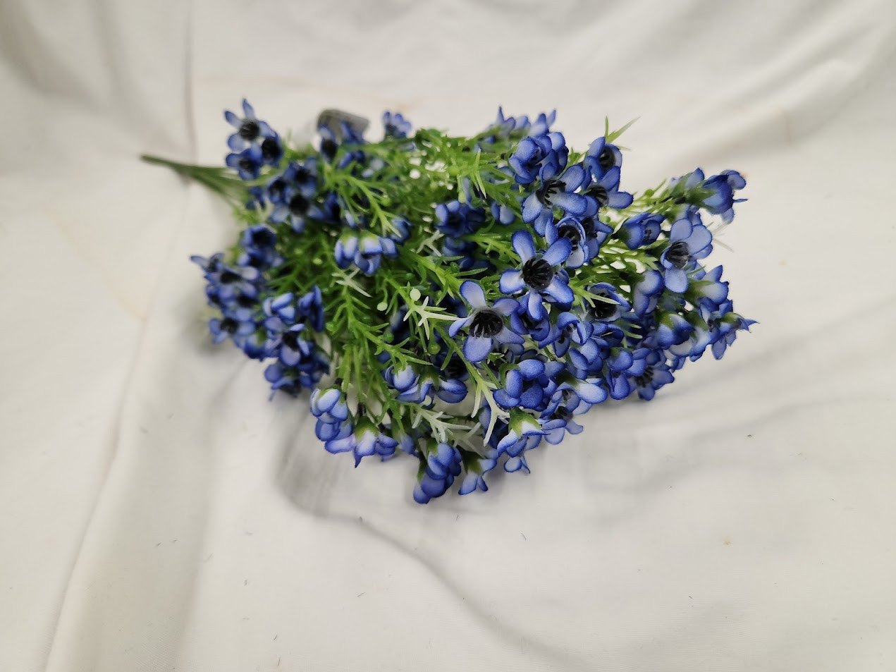 Silk Wax Flower Bush