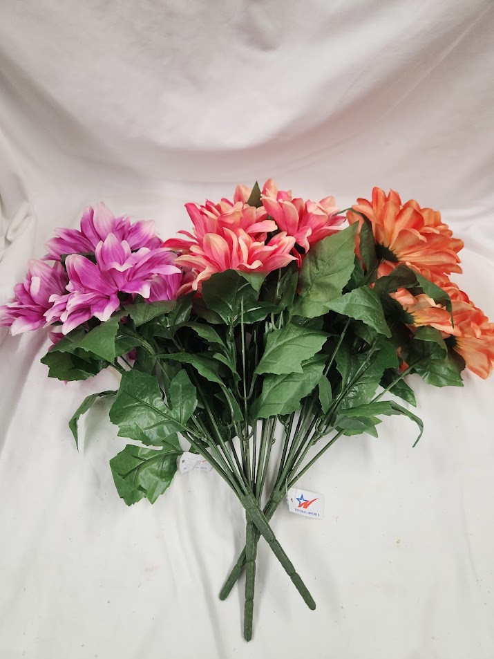 Promo Dahlia Bush x7