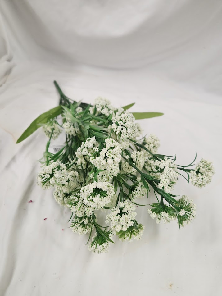 Thistle Ball Bush x12