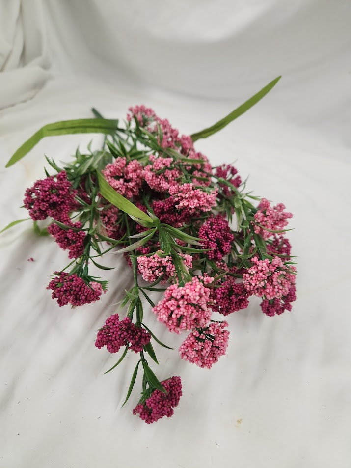 Thistle Ball Bush x12