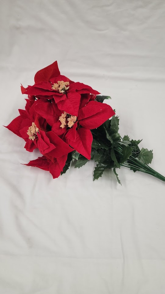 Poinsettia/Holly/Berry Bush