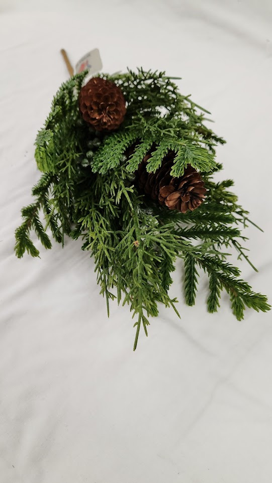 Mixed Norfolk Pine/Cedar Bush with Berries
